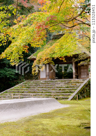 京都市左京区　東山　法然院　山門と紅葉 113328451