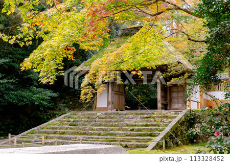 京都市左京区 東山 法然院 山門と紅葉 京都市左京区 東山 法然院 山門と紅葉 113328452