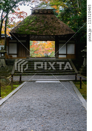 京都市左京区 東山 法然院 山門と紅葉 京都市左京区 東山 法然院 山門と紅葉 113328465