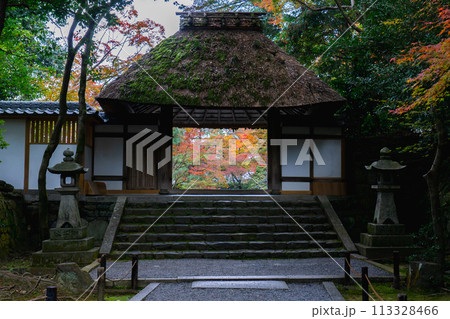 京都市左京区　東山　法然院　山門と紅葉 113328466