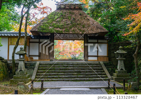 京都市左京区 東山 法然院 山門と紅葉 京都市左京区 東山 法然院 山門と紅葉 113328467