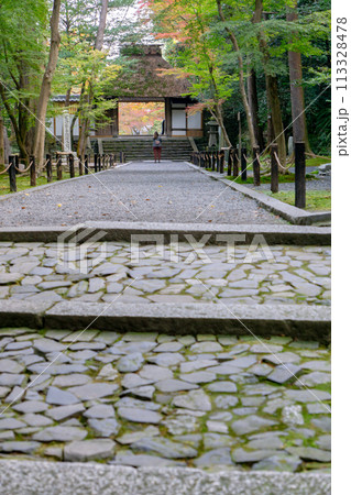 京都市左京区 東山 法然院 山門と紅葉 京都市左京区 東山 法然院 山門と紅葉 113328478