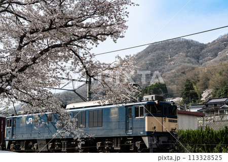 春の伯備線木野山駅で離合待ちの貨物列車2　岡山県高梁市 113328525