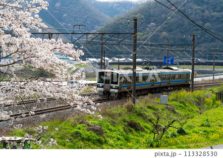 春の高梁川沿いの伯備線を走る岡山行き普通電車　岡山県高梁市 113328530