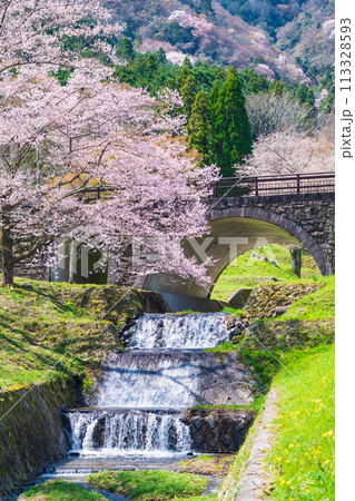 春の霞間ヶ渓、満開の桜〈岐阜県揖斐郡〉 春の霞間ヶ渓、満開の桜〈岐阜県揖斐郡〉 113328593