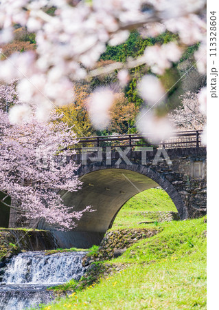 春の霞間ヶ渓、満開の桜〈岐阜県揖斐郡〉 113328604