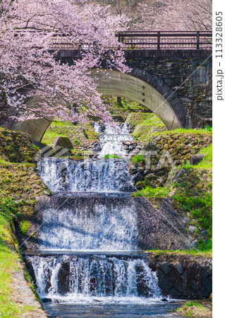 春の霞間ヶ渓、満開の桜〈岐阜県揖斐郡〉 春の霞間ヶ渓、満開の桜〈岐阜県揖斐郡〉 113328605