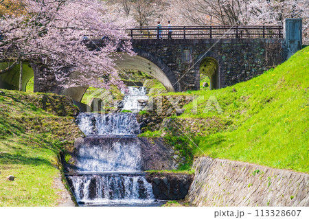 春の霞間ヶ渓、満開の桜〈岐阜県揖斐郡〉 113328607