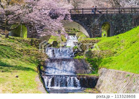 春の霞間ヶ渓、満開の桜〈岐阜県揖斐郡〉 春の霞間ヶ渓、満開の桜〈岐阜県揖斐郡〉 113328608