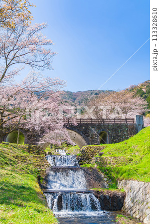 春の霞間ヶ渓、満開の桜〈岐阜県揖斐郡〉 113328610