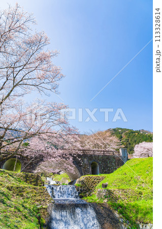 春の霞間ヶ渓、満開の桜〈岐阜県揖斐郡〉 春の霞間ヶ渓、満開の桜〈岐阜県揖斐郡〉 113328614