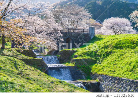 春の霞間ヶ渓、満開の桜〈岐阜県揖斐郡〉 春の霞間ヶ渓、満開の桜〈岐阜県揖斐郡〉 113328616