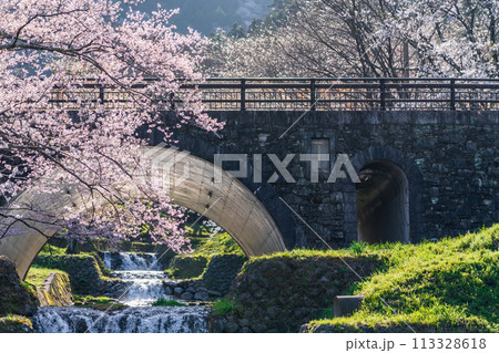 春の霞間ヶ渓、満開の桜〈岐阜県揖斐郡〉 春の霞間ヶ渓、満開の桜〈岐阜県揖斐郡〉 113328618