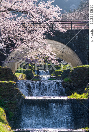 春の霞間ヶ渓、満開の桜〈岐阜県揖斐郡〉 春の霞間ヶ渓、満開の桜〈岐阜県揖斐郡〉 113328619