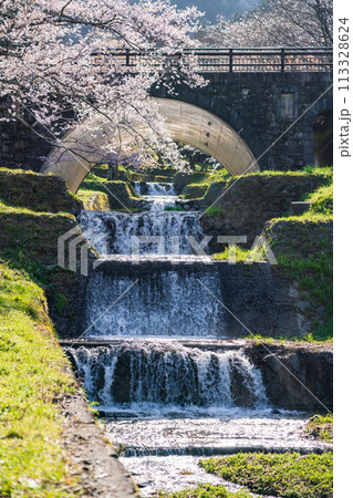 春の霞間ヶ渓、満開の桜〈岐阜県揖斐郡〉 春の霞間ヶ渓、満開の桜〈岐阜県揖斐郡〉 113328624