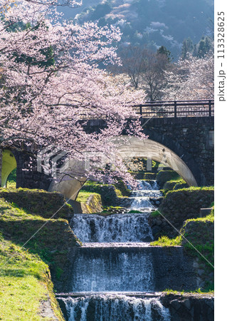 春の霞間ヶ渓、満開の桜〈岐阜県揖斐郡〉 113328625