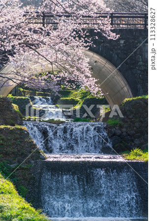 春の霞間ヶ渓、満開の桜〈岐阜県揖斐郡〉 春の霞間ヶ渓、満開の桜〈岐阜県揖斐郡〉 113328627