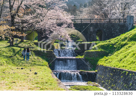 春の霞間ヶ渓、満開の桜〈岐阜県揖斐郡〉 113328630