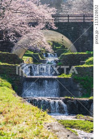 春の霞間ヶ渓、満開の桜〈岐阜県揖斐郡〉 113328632