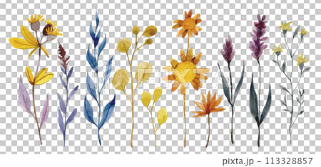 watercolor drawing, set of dry wildflowers, herbs and leaves. autumn herbarium, boho watercolor drawing, set of dry wildflowers, herbs and leaves. autumn herbarium, boho 113328857