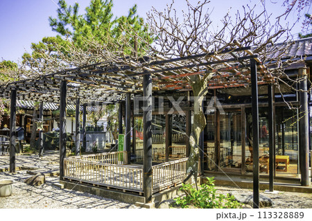 藤井寺　休憩処　大阪府藤井寺市 113328889
