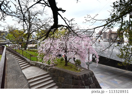 有岡城跡　兵庫県伊丹市 113328931