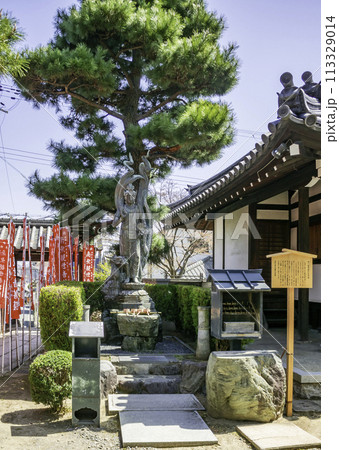 藤井寺　専心龍乗観音菩薩立像　大阪府藤井寺市 113329014