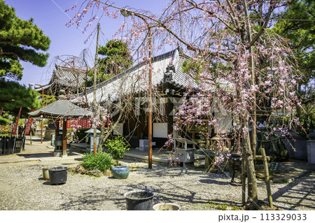 藤井寺　大師堂　大阪府藤井寺市 113329033