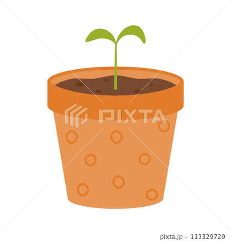 A small green sprout sprouts in a pot. Seedlings. Vector illustration on a white background. A small green sprout sprouts in a pot. Seedlings. Vector illustration on a white background. 113329729