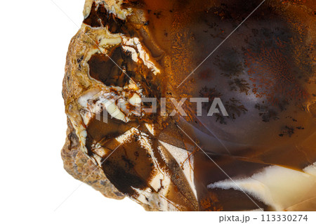 Macro stone Jasper mineral on white background Macro stone Jasper mineral on white background 113330274