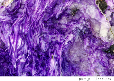 Macro stone Charoite mineral on white background 113330275