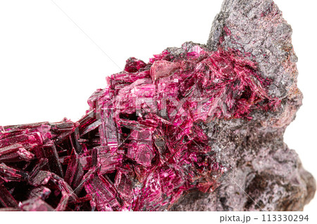 Macro stone mineral Wulfenite on a white background Macro stone mineral Wulfenite on a white background 113330294
