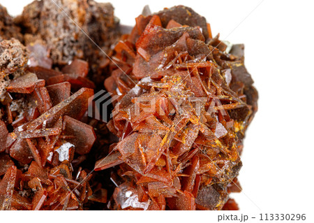 Macro stone mineral Wulfenite on a white background 113330296