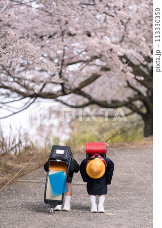 ランドセルを背負った小学生 113330350