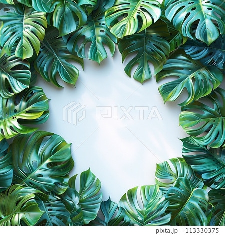 Tropical leaves background. Monstera leaves frame. Flat lay, top view. Tropical leaves background. Monstera leaves frame. Flat lay, top view. 113330375