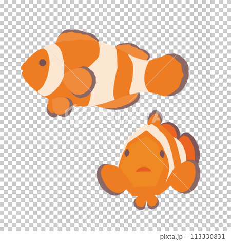 かわいいカクレクマノミのイラスト 113330831