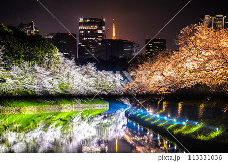 日本の東京都市景観 桜が満開。ライトアップされた千鳥ヶ淵。奥は東京タワーや虎ノ門ヒルズ駅など…=7日 日本の東京都市景観 桜が満開。ライトアップされた千鳥ヶ淵。奥は東京タワーや虎ノ門ヒルズ駅など…=7日 113331036