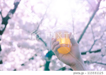 ビール　花見 113331125