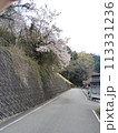 桜のある風景 113331236