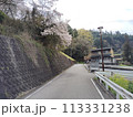 桜のある風景 113331238