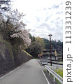 桜のある風景 113331239