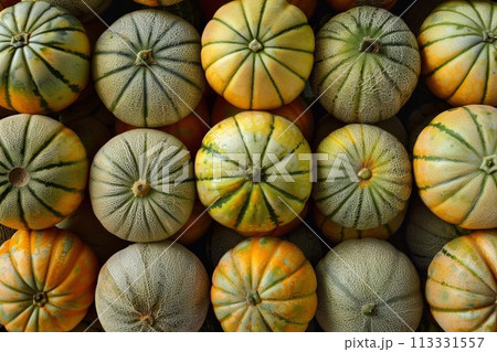 Cucumis melo is a species of melon in the family Cucurbitaceae. 113331557