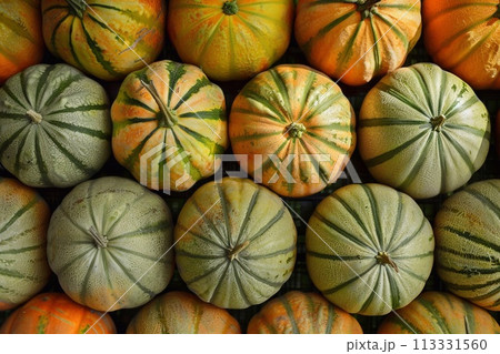 Pumpkins in the market, close-up, top view Pumpkins in the market, close-up, top view 113331560