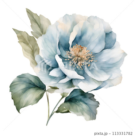 Watercolor and painting blooming flower element. botanical and flora Illustration isolated on white background 113331782