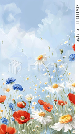 Summer wild field with wildflowers daisies and cornflowers and poppies in the rays of the sun 113331937
