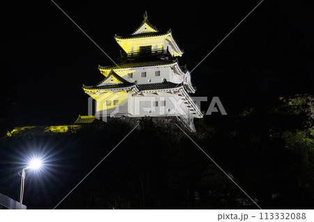 ライトアップされた天守閣の掛川城(静岡県) 113332088