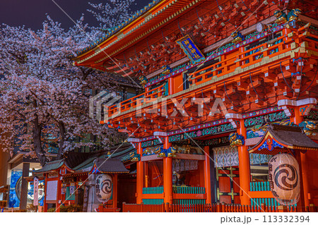 煌めく夜桜と歴史ある神田明神の美しい調和 113332394