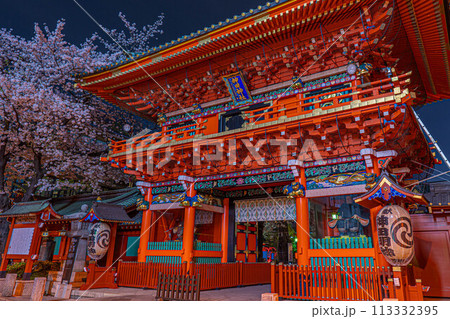 煌めく夜桜と歴史ある神田明神の美しい調和 113332395