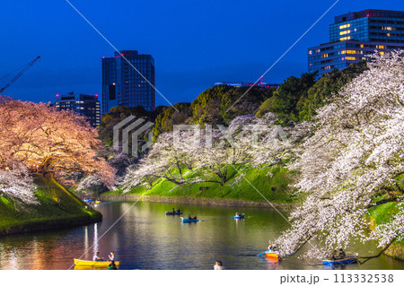 日本の東京都市景観 桜が満開。ボートで賑わうライトアップされた千鳥ヶ淵などを望む…＝令和6年4月7日 113332538