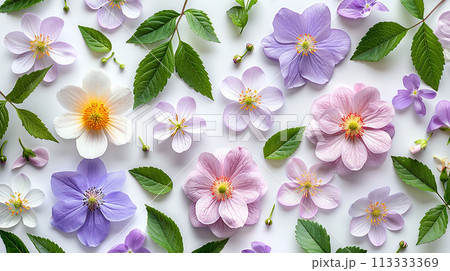 Lovely spring and summer flowers and leaves on white background. 113333369